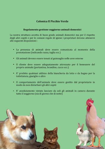 a page of a flyer with a dog cat and chickens at Colonica Il Picchio Verde in Altopascio