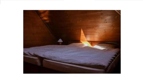 Posteľ alebo postele v izbe v ubytovaní Senec vilka na jazere 2
