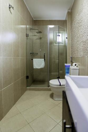 a bathroom with a glass shower and a toilet at NewCity Hotel & Suites in Cairo
