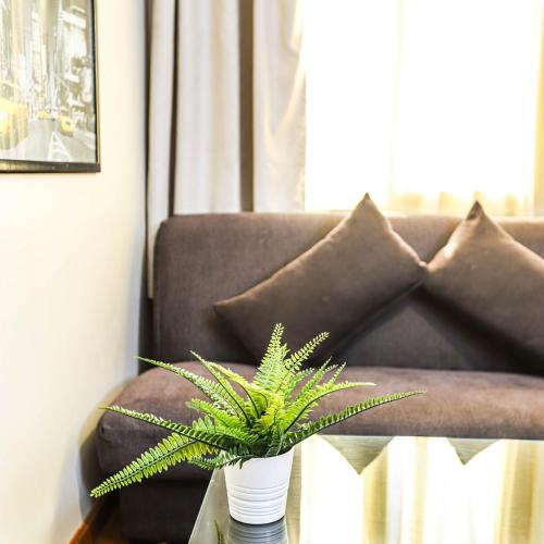 a plant sitting on a glass table next to a couch at NewCity Hotel & Suites in Cairo