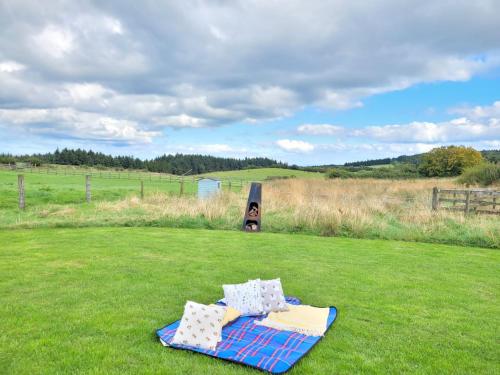 two beds on the grass in a field at The Shepherds Hut at Forestview Farm in Greenisland