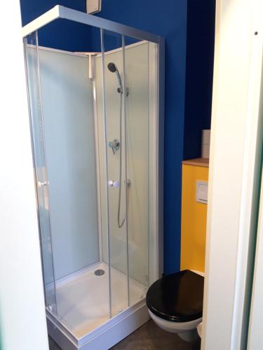 a bathroom with a glass shower with a toilet at Die kleine Wohnung in Droyßig