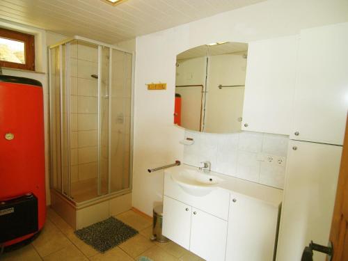 La salle de bains est pourvue d'un lavabo et d'une douche. dans l'établissement Property in Hippach, à Hippach