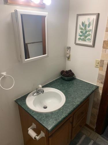 a bathroom with a sink and a mirror at Cherry712upstairs in Fairborn