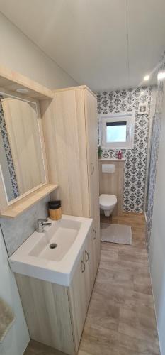 a bathroom with a sink and a toilet at Sfeervolle recreatiewoning in Putten Veluwe in Putten