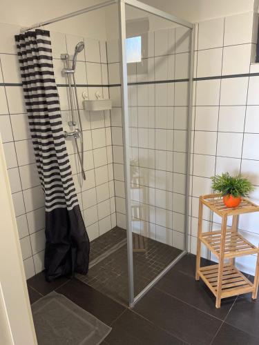 a shower with a glass door in a bathroom at Penzion Cafe Na Svahu in Cheb