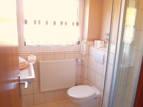 a small bathroom with a toilet and a window at Landhotel Spessartruh in Frammersbach