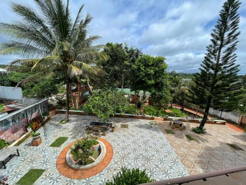an overhead view of a courtyard with a palm tree at family garden 