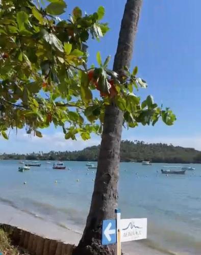 a palm tree on a beach with boats in the water at Flat Club Meridional Carneiros in Tamandaré