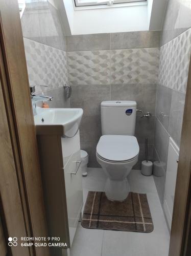 La salle de bains est pourvue de toilettes et d'un lavabo. dans l'établissement Domki Pod Brzyzkiem, à Ochotnica Dolna