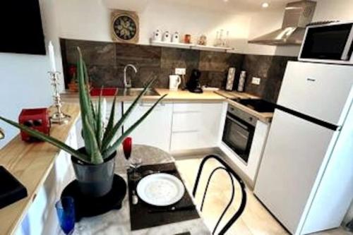 a small kitchen with a table and a potted plant at Le Campagnard & Le Maryline # Wifi # Clim # Parking Gratuit # Calme & Nature in Marboz