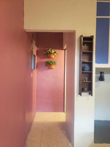 a hallway with two potted plants on a pink wall at OM Studio in Oaxaca City