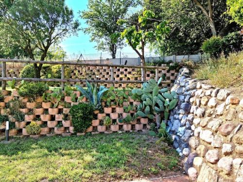 a retaining wall with a bunch of cacti and plants at Il Lago Incantato in Lonato del Garda