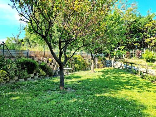 a tree in the middle of a grassy yard at Il Lago Incantato in Lonato del Garda