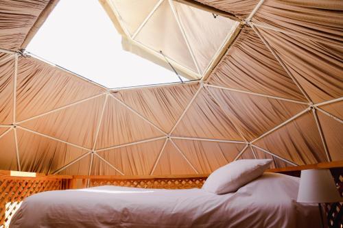 a bed in a tent with a large window at Milodge Elqui Domos in Pisco Elqui