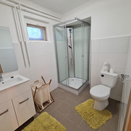 a bathroom with a shower and a toilet and a sink at Het Blauwe Salamander Huis in Kékesd