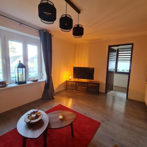a living room with a television and a red rug at Het Blauwe Salamander Huis in Kékesd
