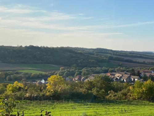 a small village in a green field with houses at Het Blauwe Salamander Huis in Kékesd