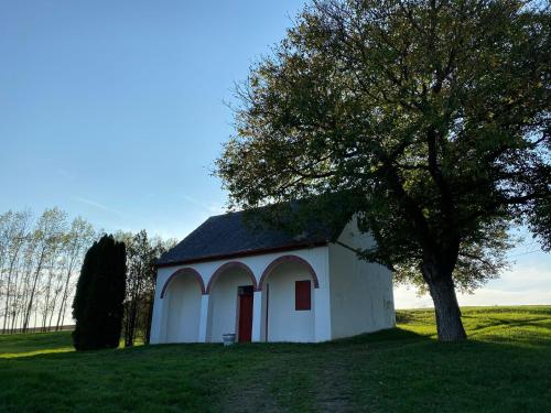 a small white chapel with a tree in a field at Het Blauwe Salamander Huis in Kékesd