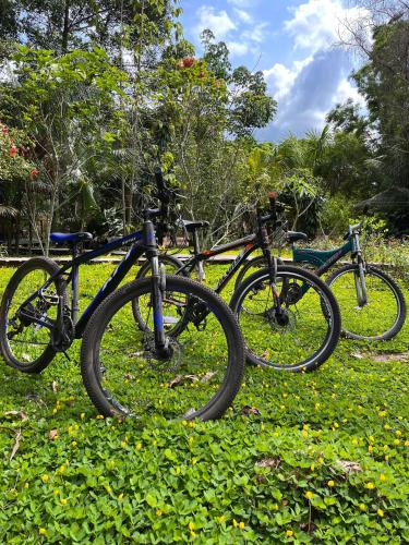 Jízda na kole v ubytování Passiflora Lodge Tambopata nebo okolí