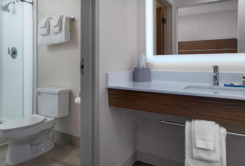 a bathroom with a sink and a toilet and a mirror at Holiday Inn Express North Myrtle Beach - Little River by IHG in Little River