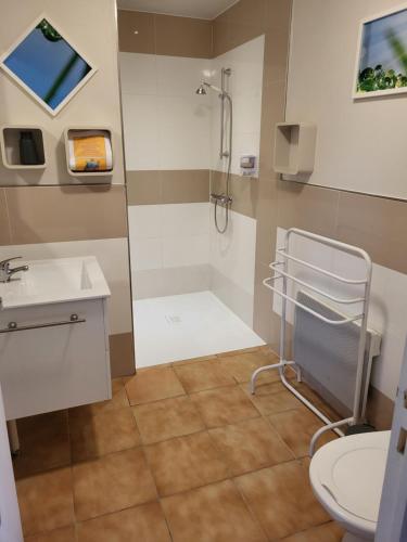 a bathroom with a shower and a sink and a toilet at Cheverny la vie est belle in Cheverny