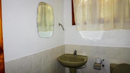 a bathroom with a green sink and a mirror at LUSHOTO EXECUTIVE LODGE in Lushoto
