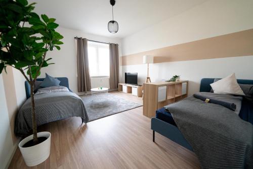 a bedroom with two beds and a potted tree in it at FULL HOUSE Studios - R85 Apartments in Zwickau