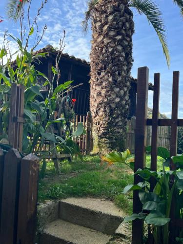 una palma accanto a una recinzione e a una scalinata di legno di Posada El Pareón a Sirviella