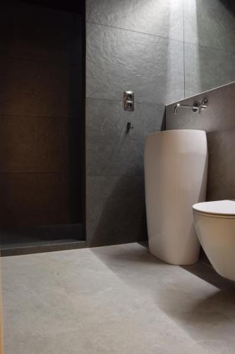 a bathroom with a toilet and a shower at Willa Góralka in Szczyrk
