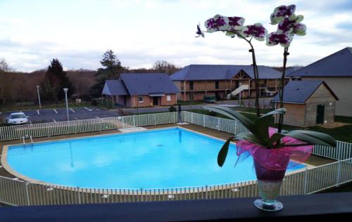 un vase avec une fleur assis à côté d'une piscine dans l'établissement Charmant 2 pièces proche d Honfleur, piscine en saison, parking gratuit, Wifi, à Équemauville