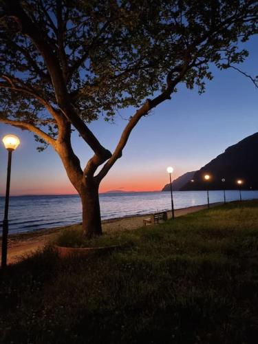 a tree on the beach with a sunset in the background at Vlasis home in Nafpaktos