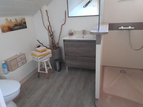 La salle de bains est pourvue d'un lavabo, de toilettes et d'un tabouret. dans l'établissement Gîte du bois blanc, à Saint-Clément