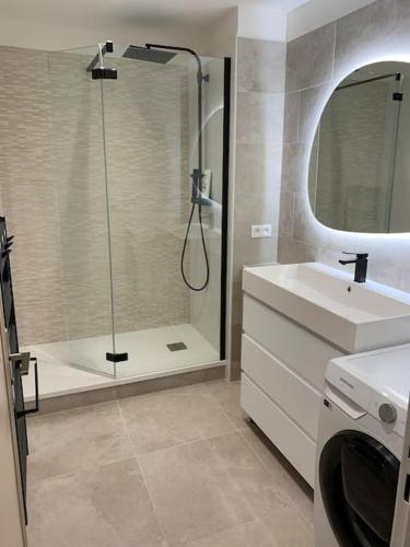 une salle de bain avec douche et lavabo et une machine à laver dans l'établissement Appartement refait à neuf avec vue sur la ville, à Poitiers