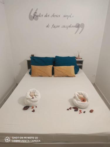 Кровать или кровати в номере Villa tropicale charmant T2 dans un cadre verdoyant