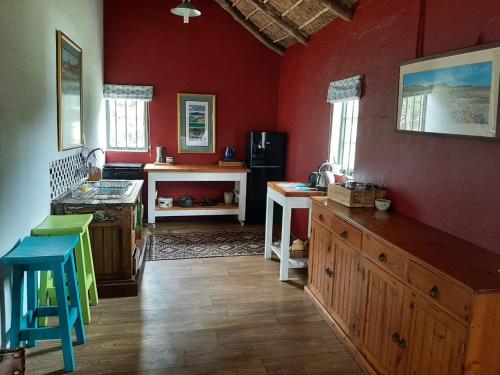 a kitchen with red walls and a wooden floor at Zeekoegat Historical Homestead in Riversdale