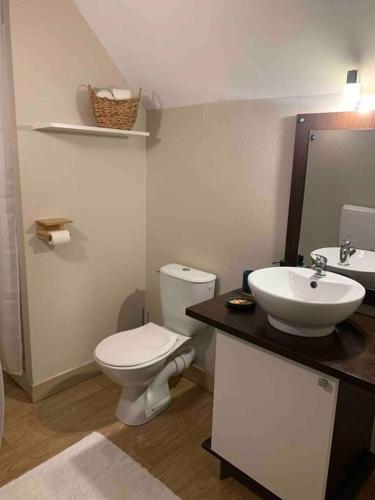 une salle de bain avec toilettes et lavabo dans l'établissement Appartement chaleureux chez Nadège et Raphaël, à Arreau
