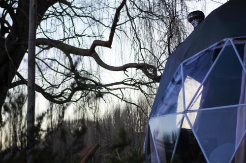 a man standing inside of a blue tent at Domos Uspallata in Uspallata