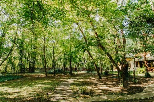 a path through a park with trees and a house at Forest House in Palić