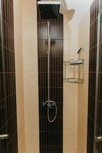 a shower with a shower head in a bathroom at Forest House in Palić
