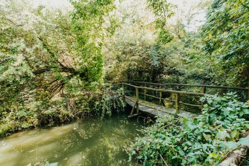 a bridge over a river in a forest at Forest House in Palić