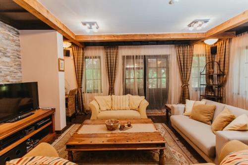a living room with a couch and a tv at Forest House in Palić