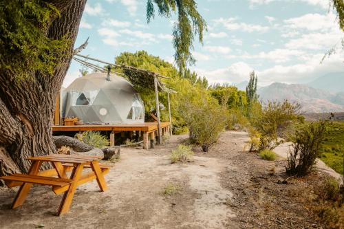 a yurt in a tree with a picnic table at Domos Uspallata in Uspallata