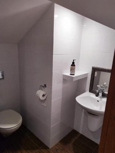 a white bathroom with a toilet and a sink at Pokoje nad Młynem in Stryków