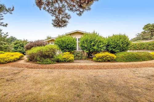 Mendocino Dunes - Sandrahla – Photos 3