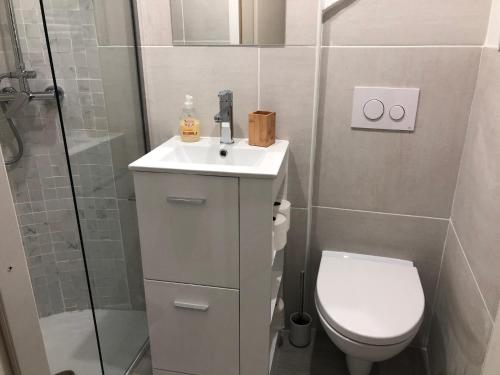 une salle de bain avec toilettes, lavabo et douche dans l'établissement Les Olives Wifi Netflix Appart-hotel-Provence, à La Fare-les-Oliviers