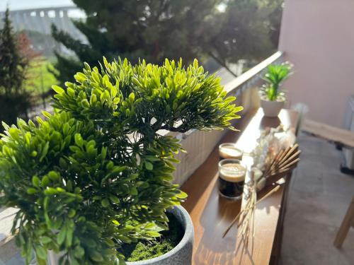 LE PARADIS APPARTEMENT – Photos 3