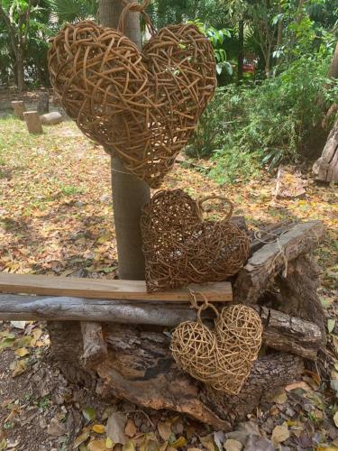 #villamaya8venado – Photos 3