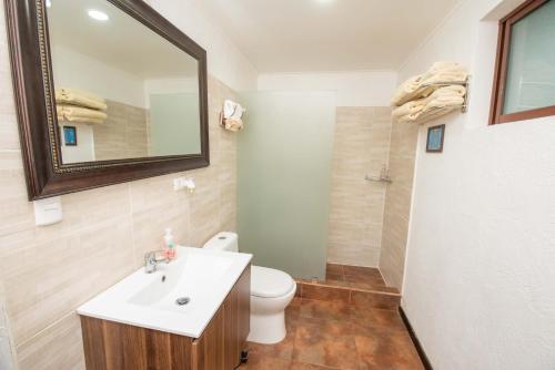 een badkamer met een wastafel, een toilet en een spiegel bij Hotel Boutique Raíces de Colchagua in Santa Cruz