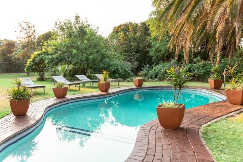 a swimming pool with potted plants in a yard at Hotel Nomad Belvedere Lodge in Midrand